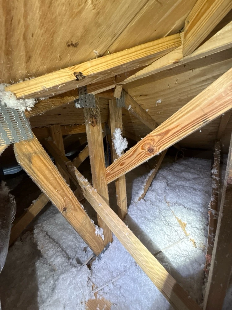 WIN Home Inspection Palmetto Bay