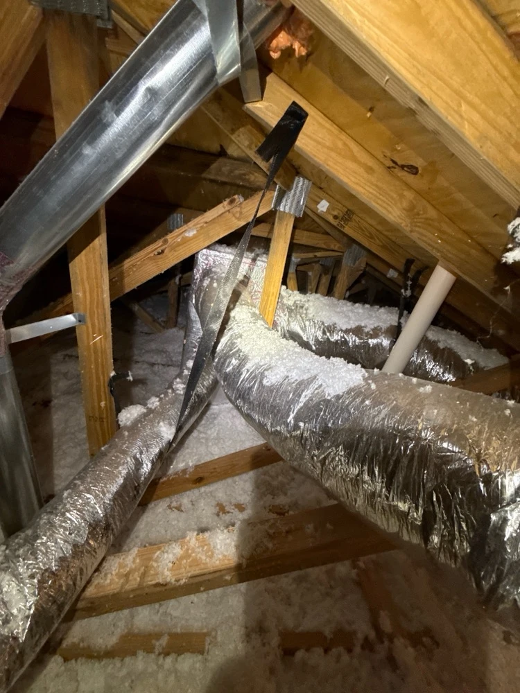 WIN Home Inspection Palmetto Bay