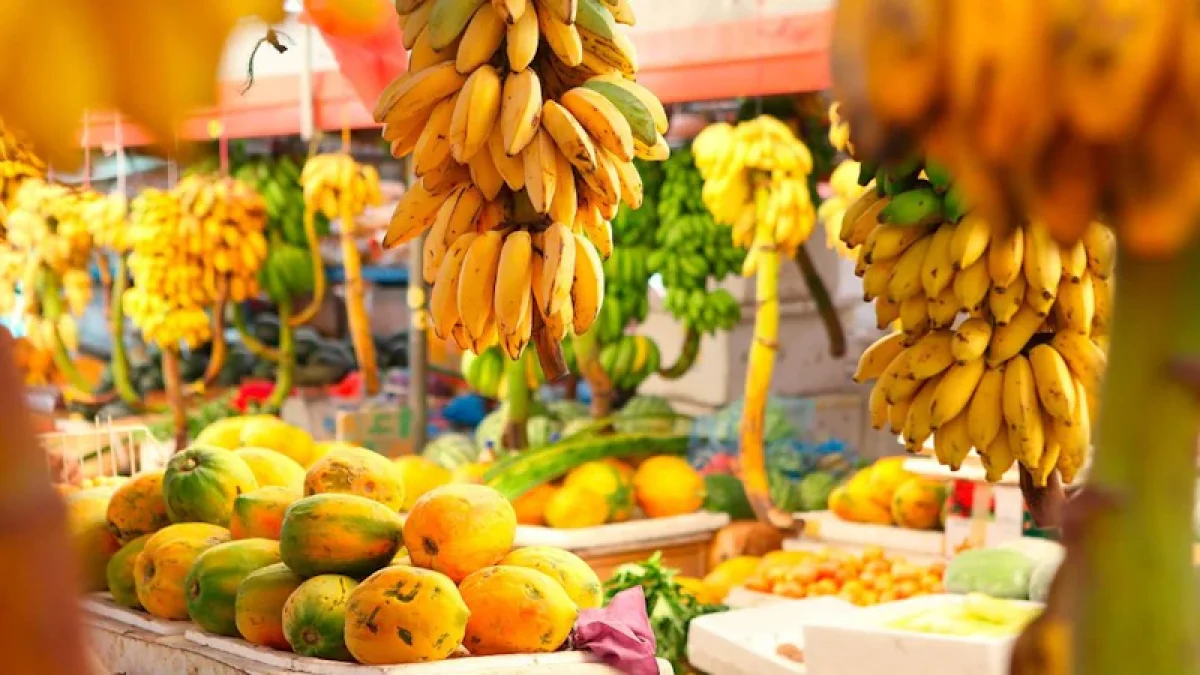 The Summer Fruit Festival 