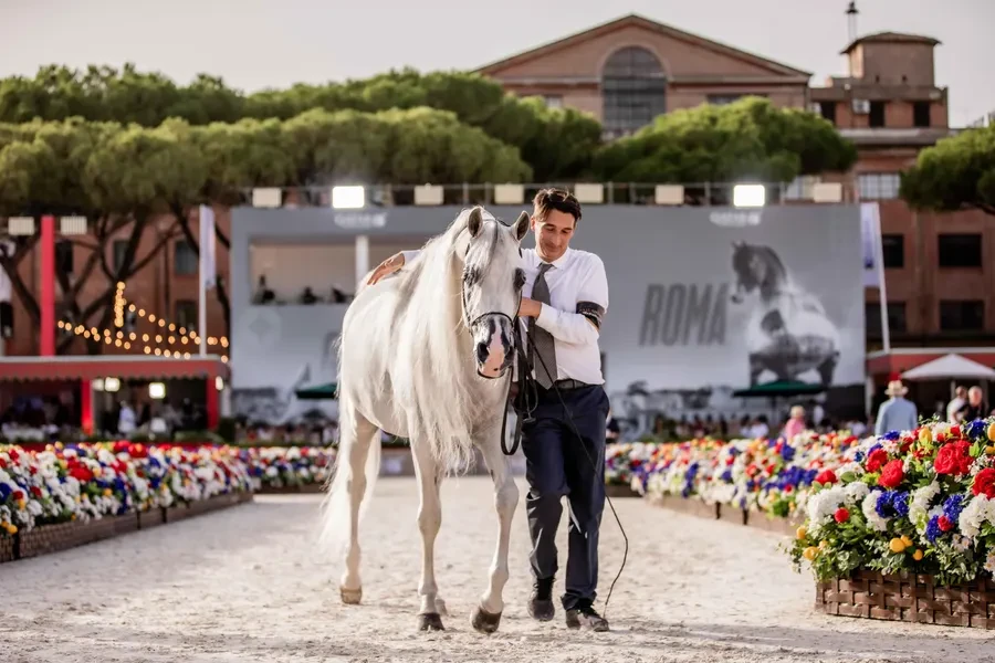 The Global Champions Arabians Tour Miami Beach