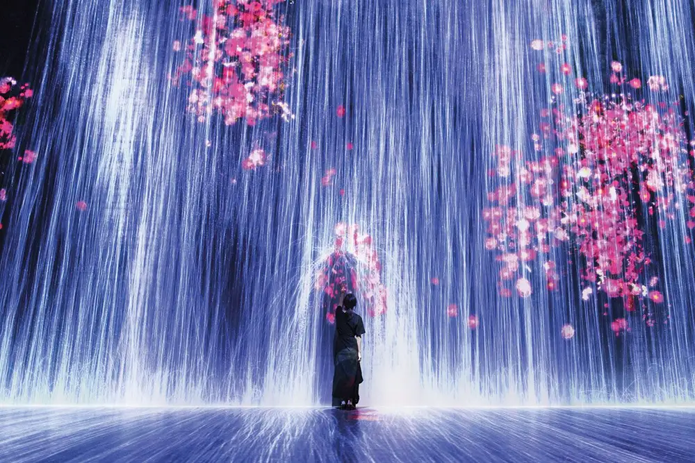 Superblue Miami - Immersive Art Experiences