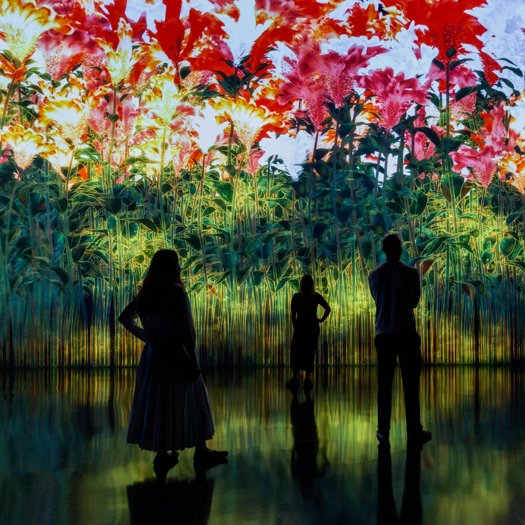 Superblue Miami - Immersive Art Experiences