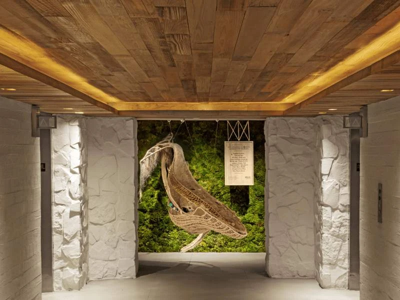 World Meditation Day -1 Hotel