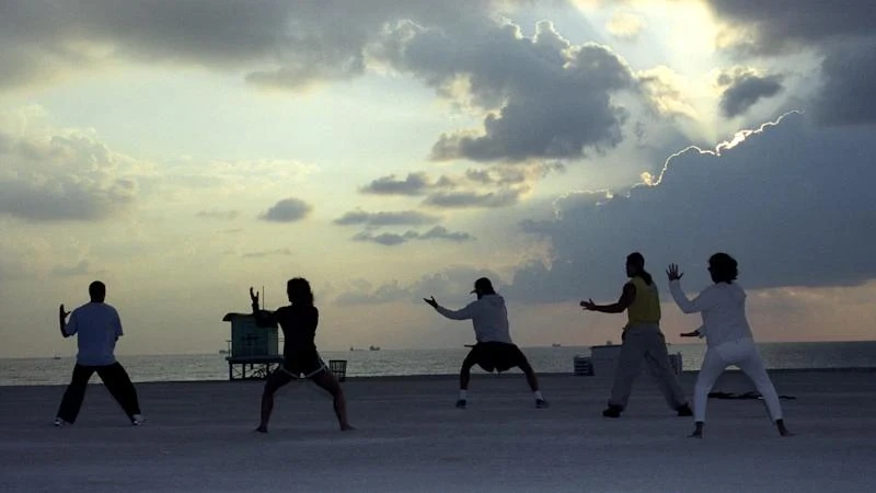 TAI CHI in the Garden