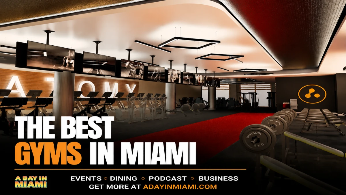 THE BEST GYMS IN MIAMI