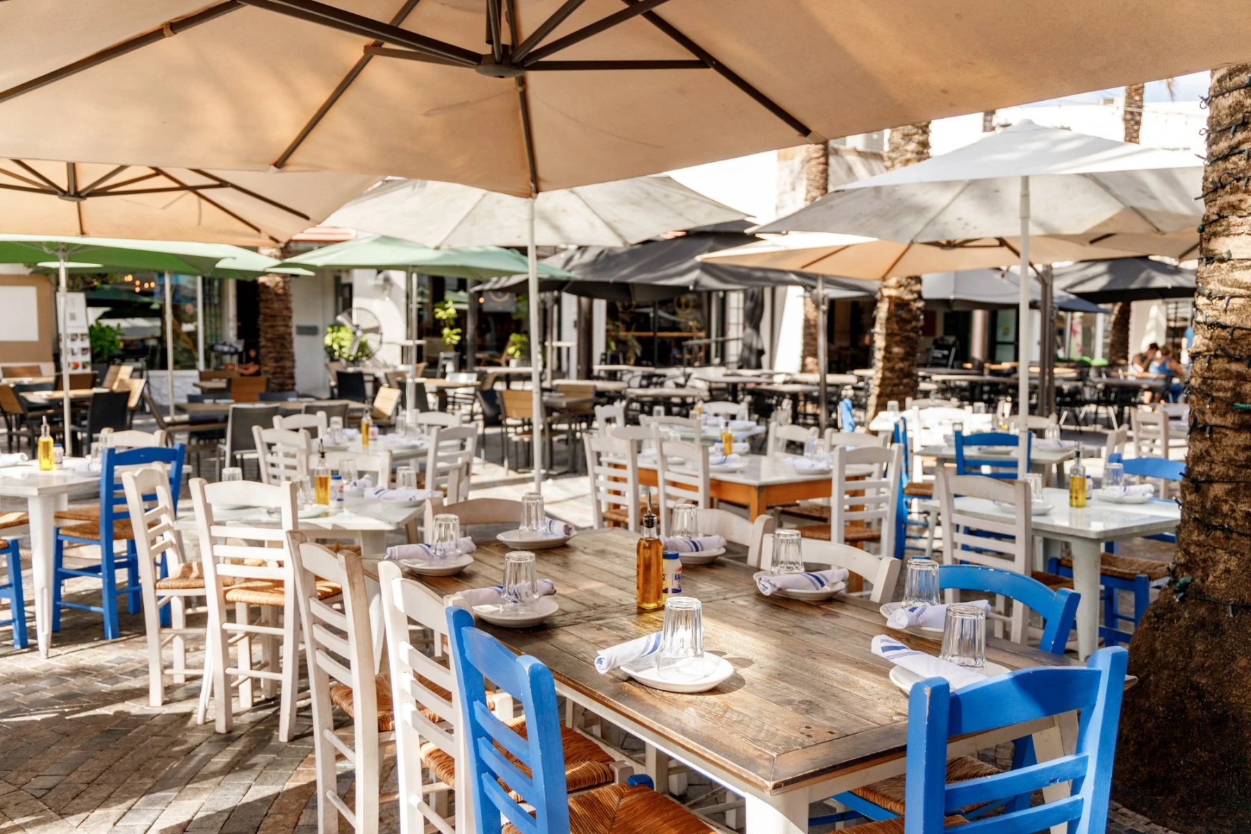 Calista Greek Seafood Taverna