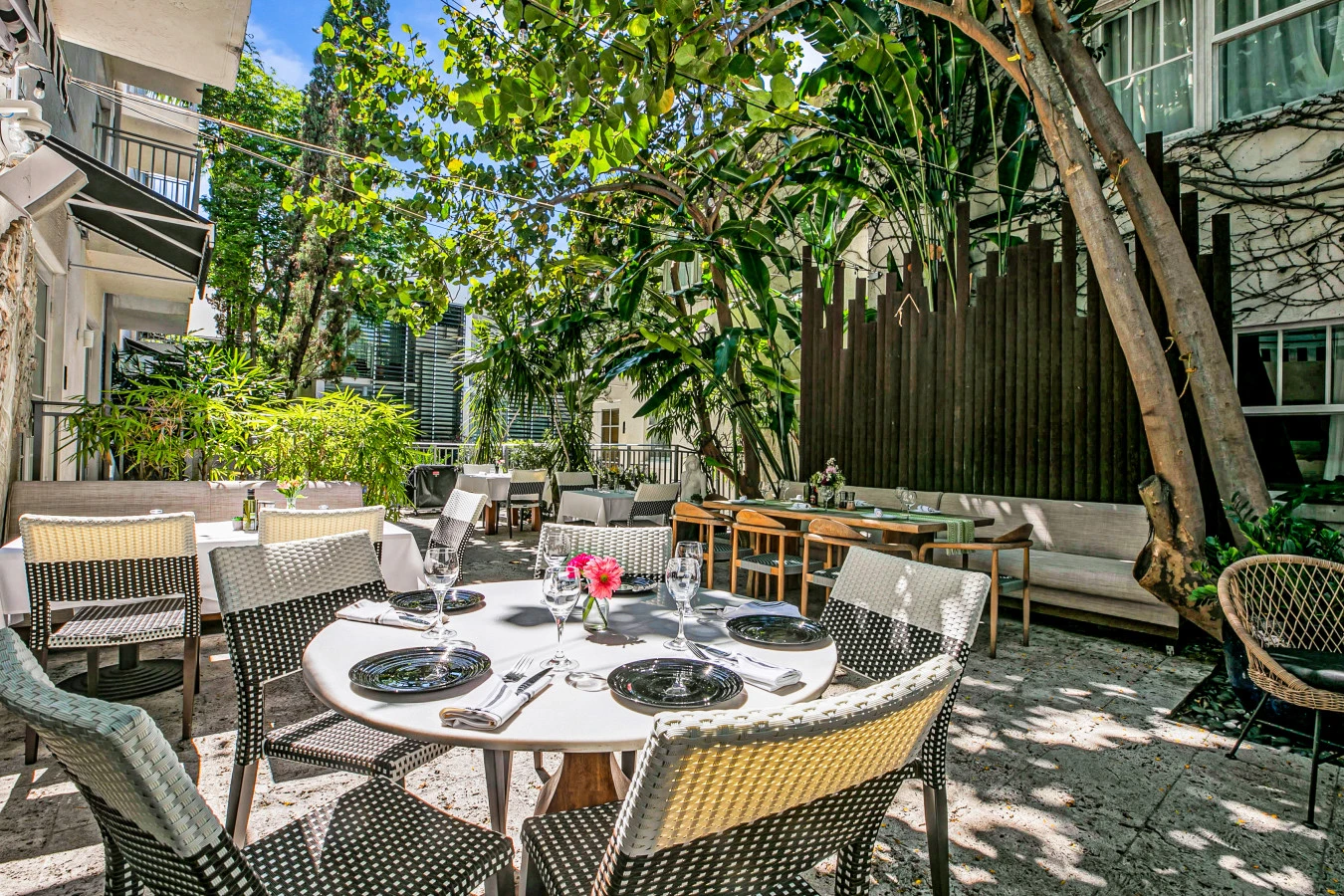 El Patio Restaurant – Bar Habana – La Terraza Rooftop